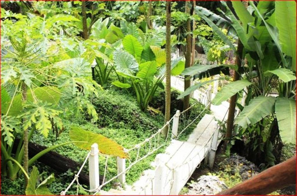 Rai Preda Homestay Ao Luk Esterno foto