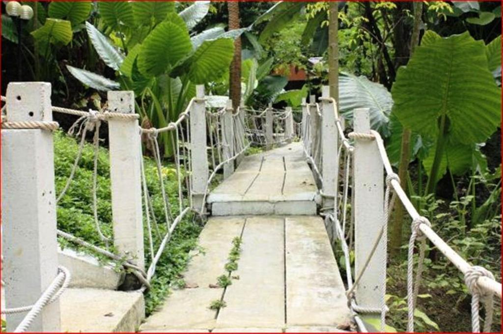 Rai Preda Homestay Ao Luk Esterno foto